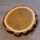 1 Stück Akazie Keiler AF 14,5 cm Trophäenschild Schild Brett Wildschwein Baumscheibe Baumschild