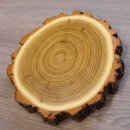 1 Stück Akazie Keiler AF 14,5 cm Trophäenschild Schild Brett Wildschwein Baumscheibe Baumschild