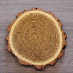 1 Stück Akazie Keiler AF 14,5 cm Trophäenschild Schild Brett Wildschwein Baumscheibe Baumschild