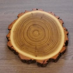 1 Stück Akazie Keiler AF 14,5 cm Trophäenschild Schild Brett Wildschwein Baumscheibe Baumschild