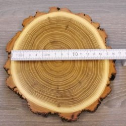 1 Stück Akazie Keiler AF 14,5 cm Trophäenschild Schild Brett Wildschwein Baumscheibe Baumschild