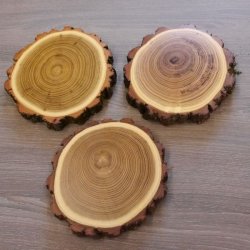 3 Stück Akazie Keiler AF 14,5 cm Trophäenschild Schild Brett Wildschwein Baumscheibe Baumschild