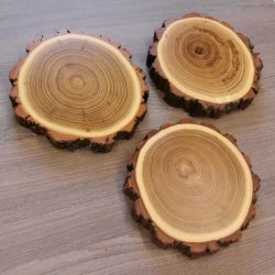 3 Stück Akazie Keiler AF 14,5 cm Trophäenschild Schild Brett Wildschwein Baumscheibe Baumschild