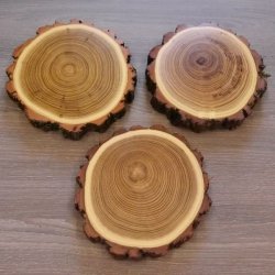 3 Stück Akazie Keiler AF 14,5 cm Trophäenschild Schild Brett Wildschwein Baumscheibe Baumschild