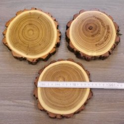 3 Stück Akazie Keiler AF 14,5 cm Trophäenschild Schild Brett Wildschwein Baumscheibe Baumschild