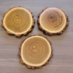 3 Stück Akazie Keiler AF 14,5 cm Trophäenschild Schild Brett Wildschwein Baumscheibe Baumschild