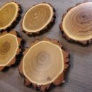 5 Stück Akazie Keiler AF 14,5 cm Trophäenschild Schild Brett Wildschwein Baumscheibe Baumschild