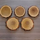 5 Stück Akazie Keiler AF 14,5 cm Trophäenschild Schild Brett Wildschwein Baumscheibe Baumschild