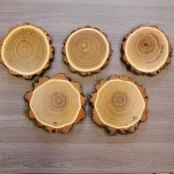 5 Stück Akazie Keiler AF 14,5 cm Trophäenschild Schild Brett Wildschwein Baumscheibe Baumschild