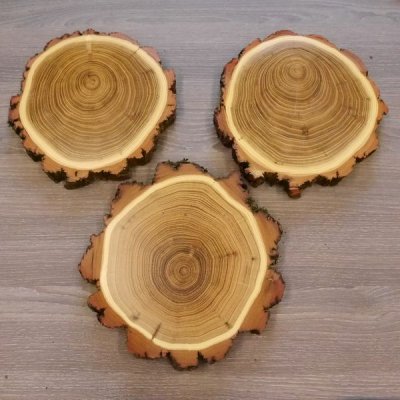 3 Stück Akazie Keiler AF16 cm Trophäenschilder Wildschwein Baumscheibe Baumschild