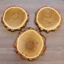 3 Stück Akazie Keiler AF16 cm Trophäenschilder Wildschwein Baumscheibe Baumschild