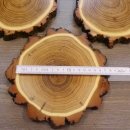 3 Stück Akazie Keiler AF16 cm Trophäenschilder Wildschwein Baumscheibe Baumschild