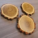 3 Stück Akazie Keiler AF16 cm Trophäenschilder Wildschwein Baumscheibe Baumschild