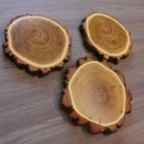 3 Stück Akazie Keiler AF16 cm Trophäenschilder Wildschwein Baumscheibe Baumschild