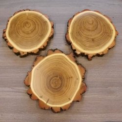 3 Stück Akazie Keiler AF16 cm Trophäenschilder Wildschwein Baumscheibe Baumschild