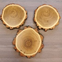 3 Stück Akazie Keiler AF16 cm Trophäenschilder Wildschwein Baumscheibe Baumschild