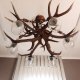 sehr große Rothirsch Geweihlampe 138 cm Geweih Lampe Leuchte Hirsch Deckenlampe 6  flammig