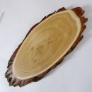 Akazie Trophäenschild Rothirsch Geweih Hirsch Hirschgeweih Baumschild AF 50 cm