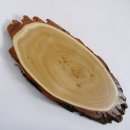 Akazie Trophäenschild Rothirsch Geweih Hirsch Hirschgeweih Baumschild AF 50 cm