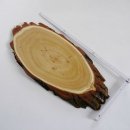 Akazie Trophäenschild Rothirsch Geweih Hirsch Hirschgeweih Baumschild AF 50 cm