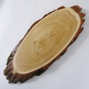 Akazie Trophäenschild Rothirsch Geweih Hirsch Hirschgeweih Baumschild AF 50 cm
