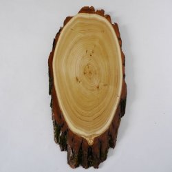 Akazie Trophäenschild Rothirsch Geweih Hirsch Hirschgeweih Baumschild AF 50 cm