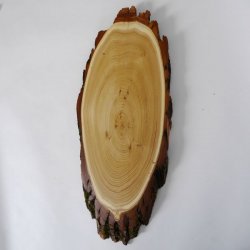 Akazie Trophäenschild Rothirsch Geweih Hirsch Hirschgeweih Baumschild AF 50 cm