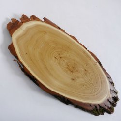 Akazie Trophäenschild Rothirsch Geweih Hirsch Hirschgeweih Baumschild AF 50 cm