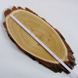 Akazie Trophäenschild Rothirsch Geweih Hirsch Hirschgeweih Baumschild AF 50 cm