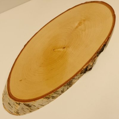 Birke Rothirsch AF 41 cm Hirsch Schild Troph&auml;enschild Geweih Baumscheibe Baumschild Natur Holz modern 
