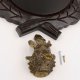 Keilerschild geschnitzt dunkel AF 17,5 cm mit 1 Stück Keiler Kopf Deckblatt groß Keilerbrett Gewaffbrett Trophäenschild