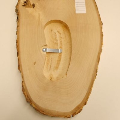 Birke Rothirsch AF 42 cm Hirsch Schild Troph&auml;enschild Geweih Baumscheibe Baumschild Natur Holz modern 