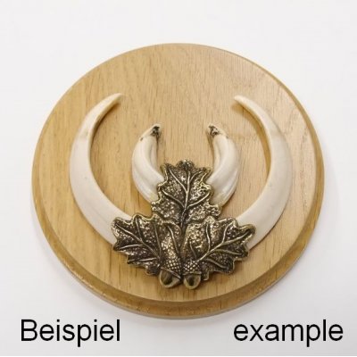 Rundes Keilerbrett Aus Eiche - Trophäenschild Mit Eichenlaub Für Wildschweinwaffen