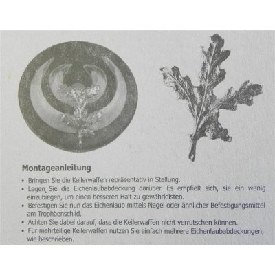4 x Eichenlaub Deckblatt, Verzierung f&uuml;r Keilertroph&auml;en - EUROHUNT -