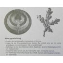 4 x Eichenlaub Deckblatt, Verzierung für Keilertrophäen - EUROHUNT -
