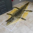 Nil Krokodil Vorleger Pr&auml;parat mit offenen Fang mit Genehmigung zum Verkauf L&auml;nge 290 cm