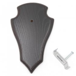1 Stück Trophäenschild Reh Spitze in Eiche Dunkel AF 19 cm x 11 cm mit 1 x Gehörnklammer