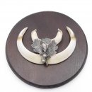 1 Stück Wildschwein Keilerwaffe mit Eichenlaub Verzierung Trophäe Keiler Gewaff Hauer Länge 13,5 cm