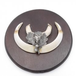 1 Stück Wildschwein Keilerwaffe mit Eichenlaub Verzierung Trophäe Keiler Gewaff Hauer Länge 13,5 cm