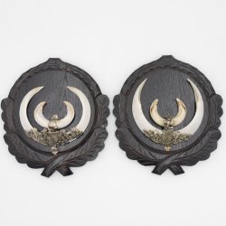 2 Stück Wildschwein Keilerwaffen mit Eichenlaub Verzierung Trophäe Keiler Gewaff Hauer Länge 17,6 cm auf geschnitztem Trophäenschild