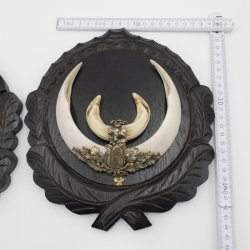 2 Stück Wildschwein Keilerwaffen mit Eichenlaub Verzierung Trophäe Keiler Gewaff Hauer Länge 17,6 cm auf geschnitztem Trophäenschild