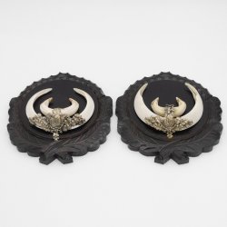 2 Stück Wildschwein Keilerwaffen mit Eichenlaub Verzierung Trophäe Keiler Gewaff Hauer Länge 17,6 cm auf geschnitztem Trophäenschild