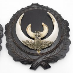 2 Stück Wildschwein Keilerwaffen mit Eichenlaub Verzierung Trophäe Keiler Gewaff Hauer Länge 17,6 cm auf geschnitztem Trophäenschild