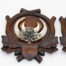 2 Stück Wildschwein Keilerwaffen mit Eichenlaub Verzierung Trophäe Keiler Gewaff Hauer Länge 17,3 cm auf geschnitztem Trophäenschild