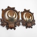 2 Stück Wildschwein Keilerwaffen mit Eichenlaub Verzierung Trophäe Keiler Gewaff Hauer Länge 17,3 cm auf geschnitztem Trophäenschild