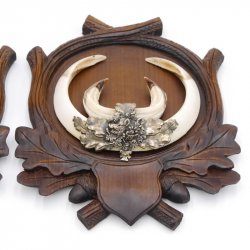 2 Stück Wildschwein Keilerwaffen mit Eichenlaub Verzierung Trophäe Keiler Gewaff Hauer Länge 17,3 cm auf geschnitztem Trophäenschild