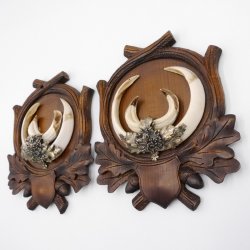 2 Stück Wildschwein Keilerwaffen mit Eichenlaub Verzierung Trophäe Keiler Gewaff Hauer Länge 17,3 cm auf geschnitztem Trophäenschild