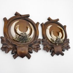 2 Stück Wildschwein Keilerwaffen mit Eichenlaub Verzierung Trophäe Keiler Gewaff Hauer Länge 17,3 cm auf geschnitztem Trophäenschild