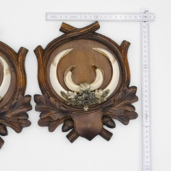 2 Stück Wildschwein Keilerwaffen mit Eichenlaub Verzierung Trophäe Keiler Gewaff Hauer Länge 17,3 cm auf geschnitztem Trophäenschild