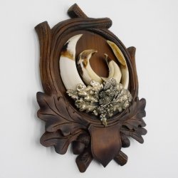 1 Stück Wildschwein Keilerwaffen mit Eichenlaub Verzierung Trophäe Keiler Gewaff Hauer Länge 17,2 cm auf geschnitztem Trophäenschild